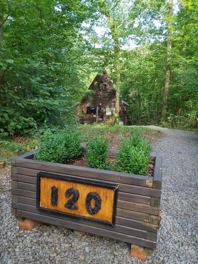 De Bosdriehoek II デュルビュイ エクステリア 写真