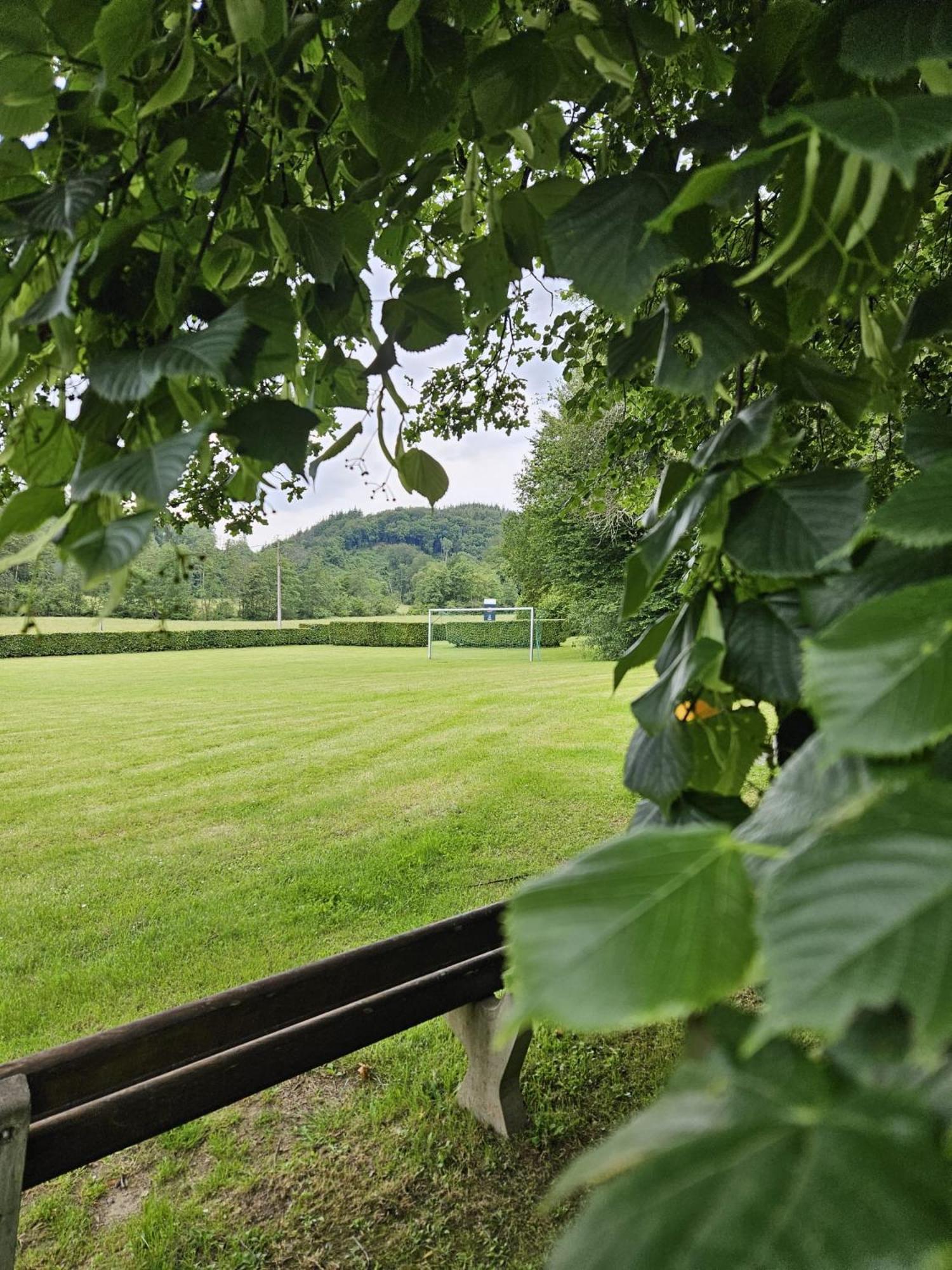 De Bosdriehoek II デュルビュイ エクステリア 写真